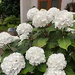 板栗林旅馆 3*