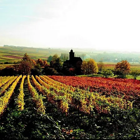 Konukevi Haus Am Kastanienwald Dörrenbach