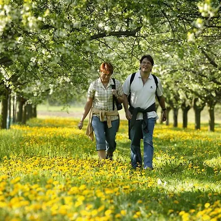 Gasthof Haus Am Kastanienwald 3*