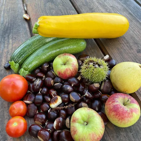 Haus Am Kastanienwald Gasthof