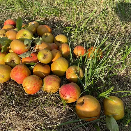 Haus Am Kastanienwald Gasthof Dörrenbach