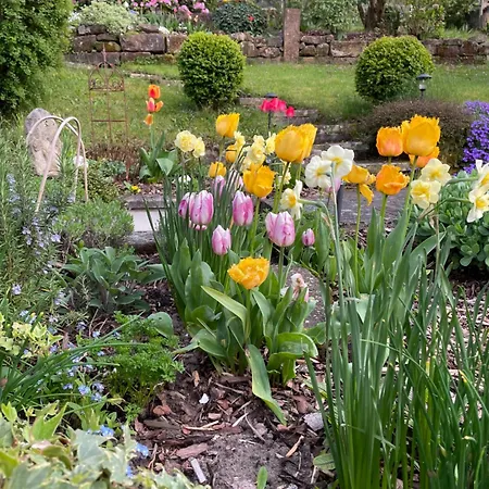 Gasthof Haus Am Kastanienwald