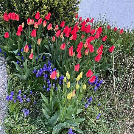 Haus Am Kastanienwald