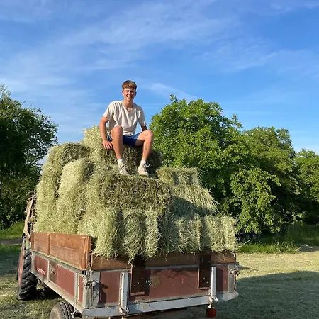 Haus Am Kastanienwald