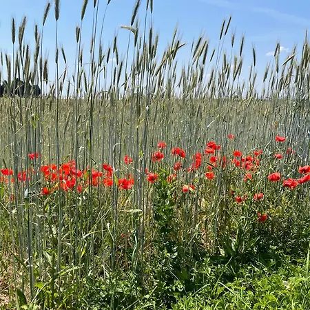 Haus Am Kastanienwald Dörrenbach