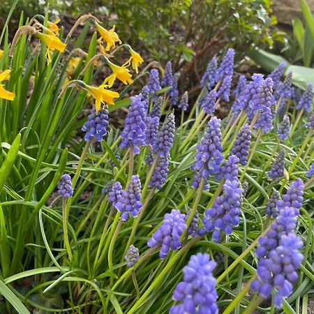 Gasthof Haus Am Kastanienwald Dörrenbach