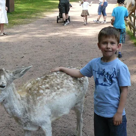 Haus Am Kastanienwald Gasthof