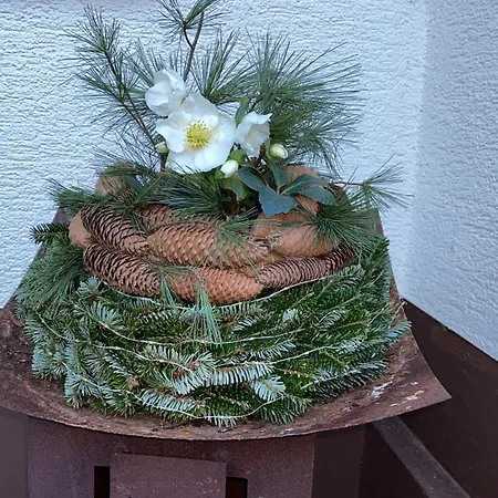 Haus Am Kastanienwald 3* Dörrenbach