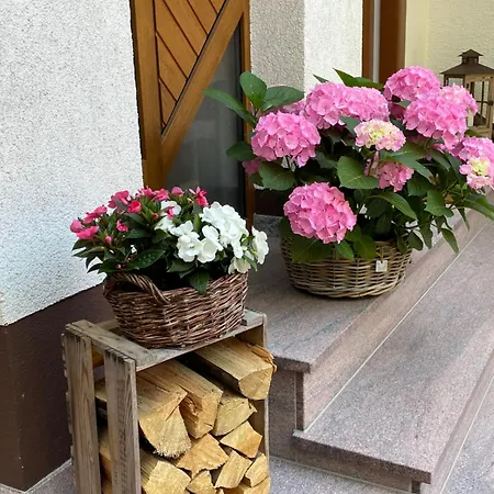 Penzion Haus Am Kastanienwald 3*