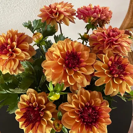 Haus Am Kastanienwald Gasthof 3*