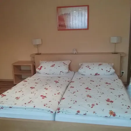 板栗林旅馆 3* Dörrenbach