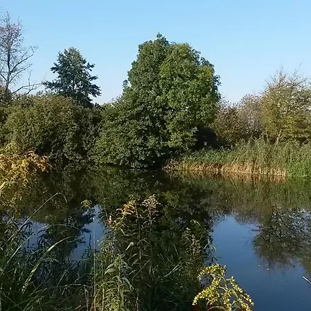 Konukevi Haus Am Kastanienwald Dörrenbach