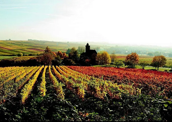 게스트하우스 Haus Am Kastanienwald Dörrenbach