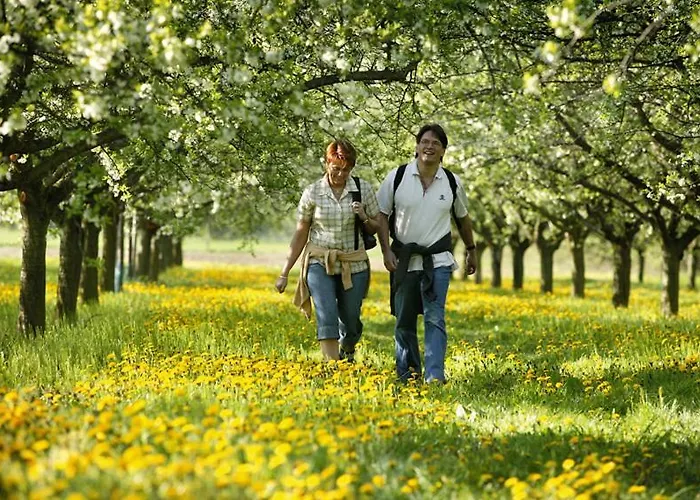 招待所 板栗林旅馆 3*