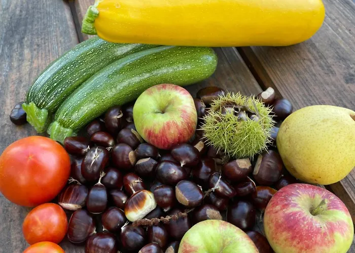 板栗林旅馆 招待所