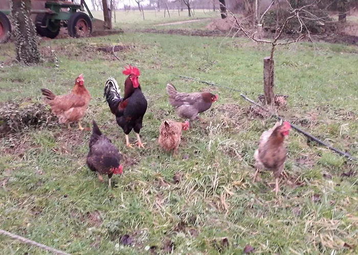 Haus Am Kastanienwald 3*