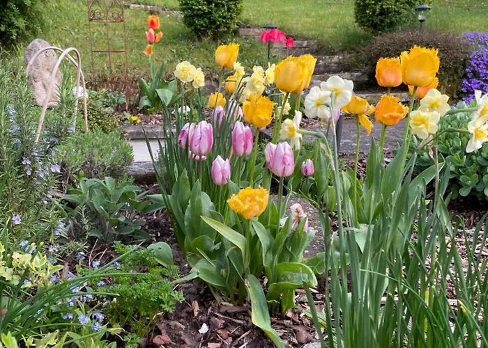 게스트하우스 Haus Am Kastanienwald