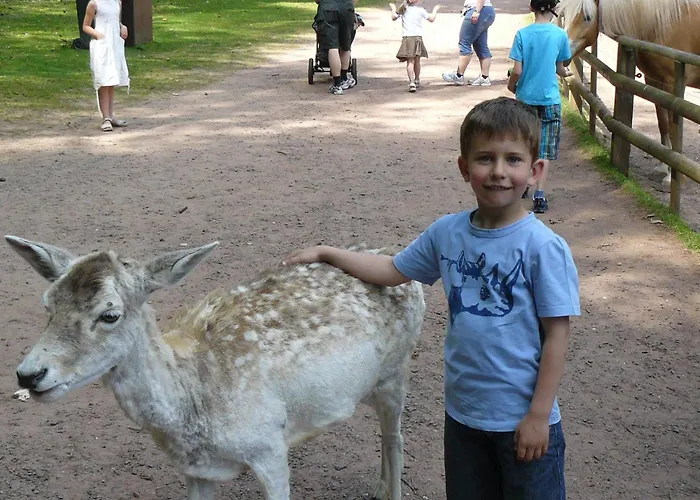 Haus Am Kastanienwald 게스트하우스