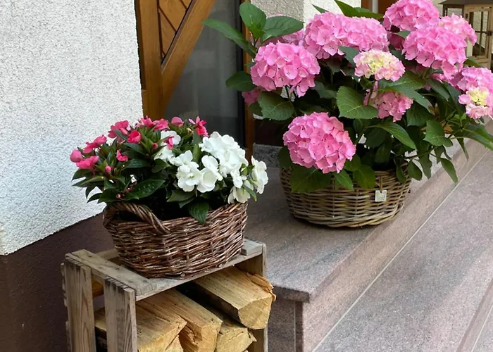 Πανσιόν Haus Am Kastanienwald 3*