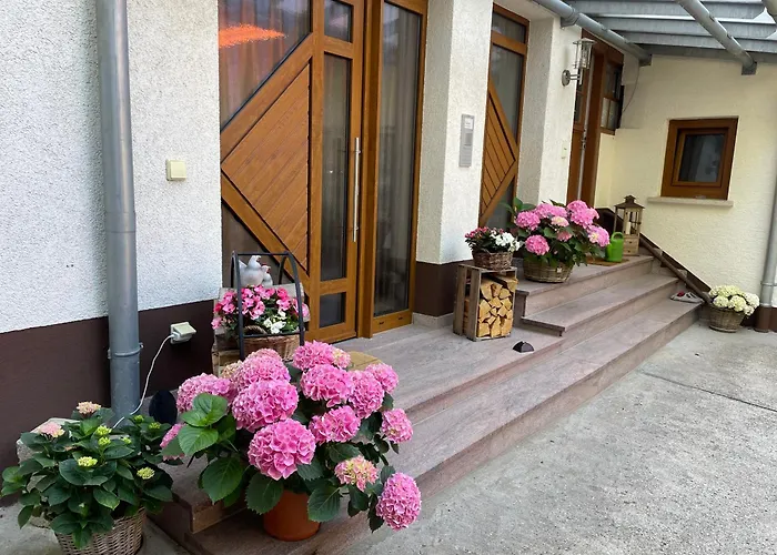 板栗林旅馆 3* Dörrenbach