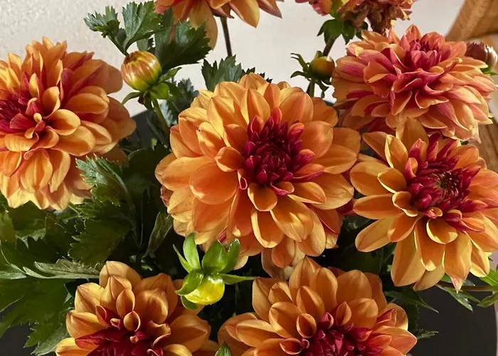 板栗林旅馆 招待所 3*