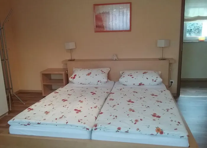 板栗林旅馆 3* Dörrenbach