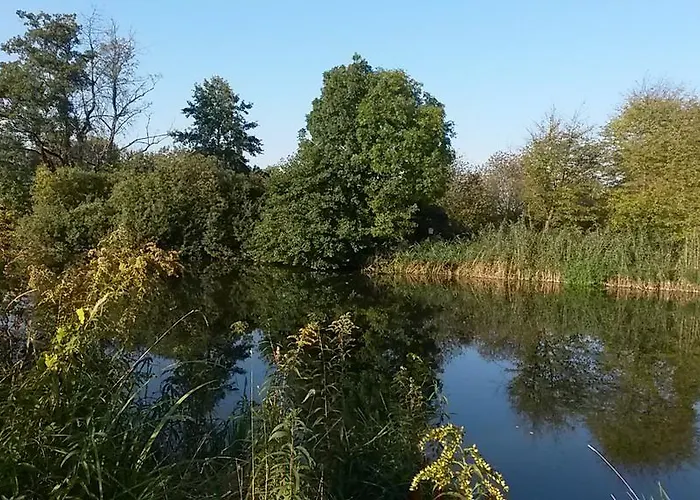 招待所 板栗林旅馆 Dörrenbach