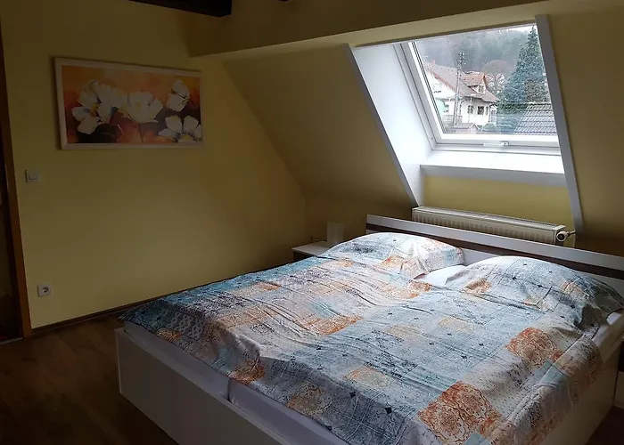 Πανσιόν Haus Am Kastanienwald Dörrenbach